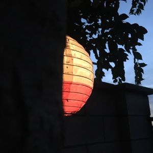 Meet your Posher, Bramley